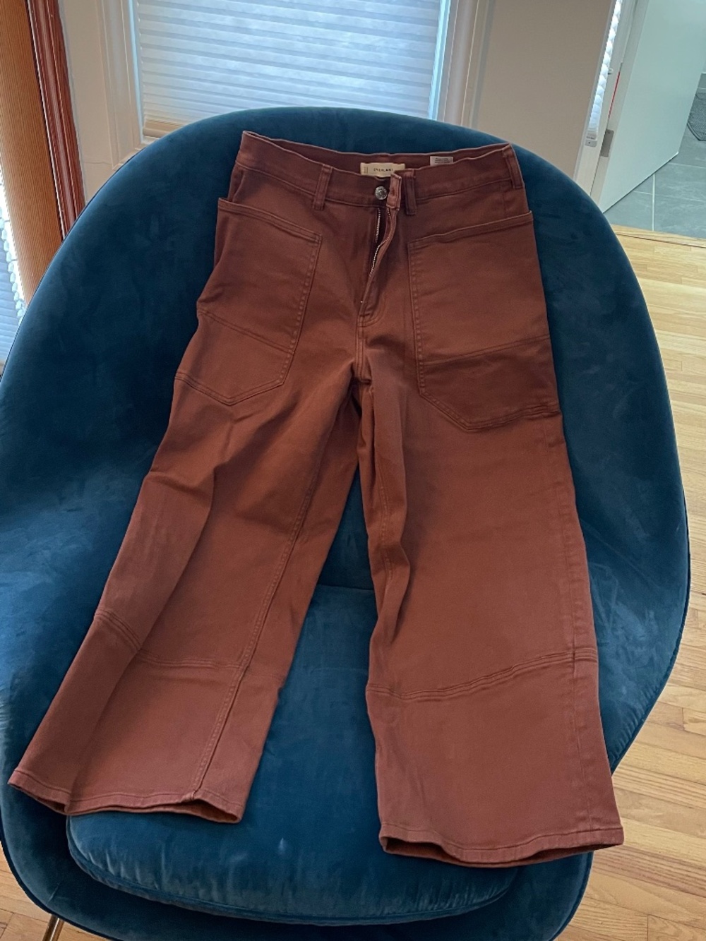 Everlane The Utility Gardener Pant in Rosewood Size 29